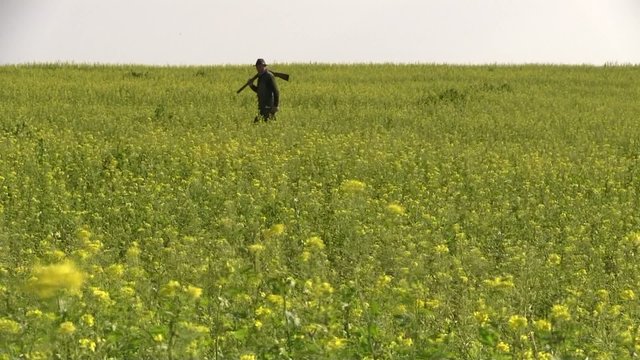 rechercher le gibier