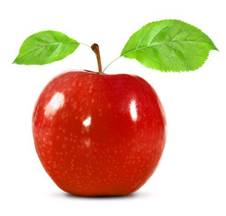 apple isolated on white