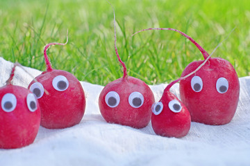 Zipfel-Radies
