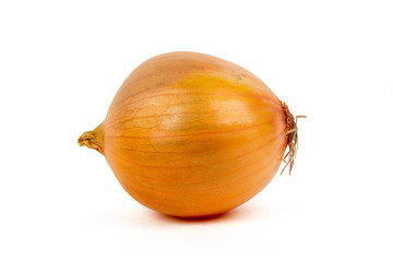 Onion