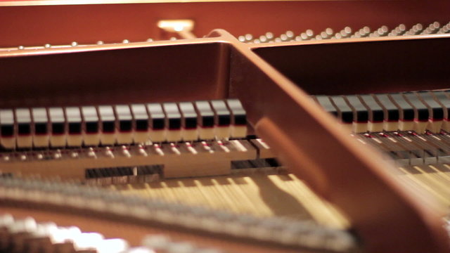 Inside of a grand piano (strings & hammers)