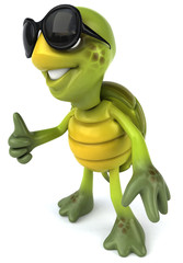Tortue et lunettes de soleil