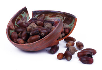 Broken pot full with acorns