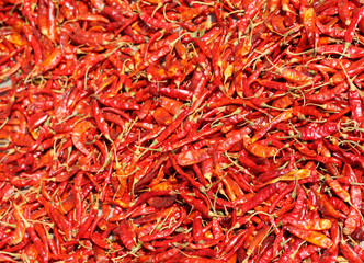 Red hot dried chili peppers