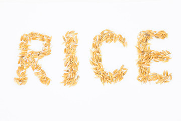 Rice
