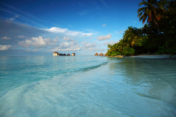 maldives landscape