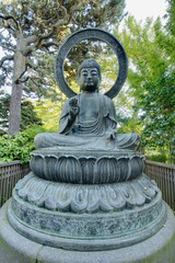 Bronze Buddha Statue in San Francisco Japanese Garden