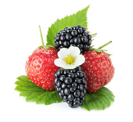 Strawberry and blackberry fruits