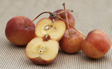 Zieräpfel ganz und halb