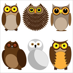 Set of different owls
