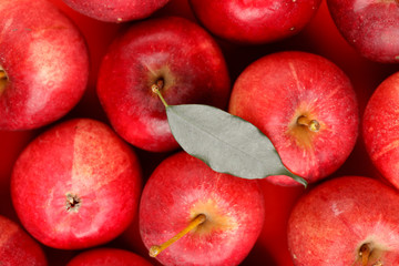 Fototapeta na wymiar background with fresh red apples