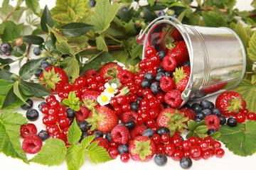 Beeren-Mischung
