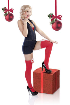 the christmas lady pin up