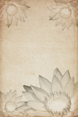 Old sheet of paper with flowers on background