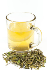 cup of tea with lemon on white