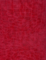 Fototapeta premium texture red