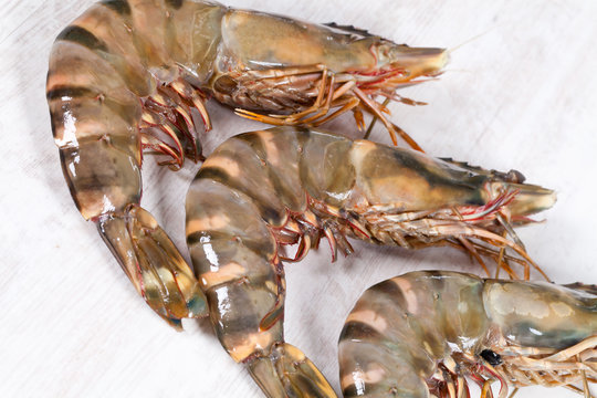 Gambas