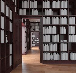 Interieur mit Bücherregal