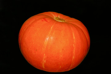 Orange pumpkin isolated
