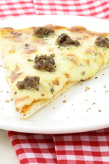 meat pizza slice
