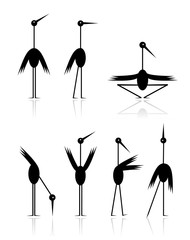 Fototapeta premium Funny storks collection for your design