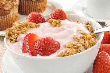 Yogurt and granola
