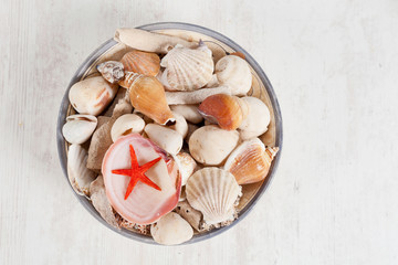 Sea shells