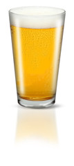 Glass of Lager