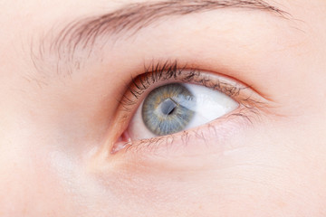 Fototapeta premium Woman eye