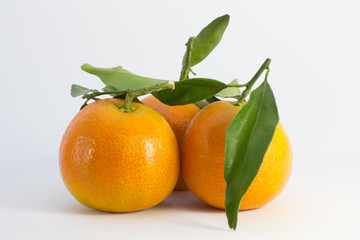 mandarina