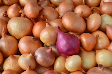 Red and yellow onions