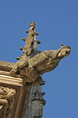 gargouille cathédrale d'Orléans