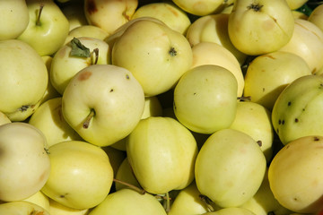 Äpfel