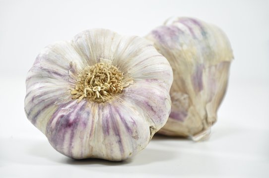 ail violet 1