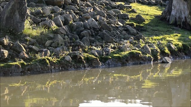 Steinufer