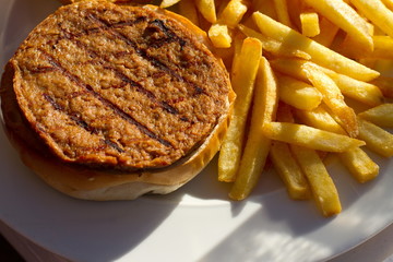 Hamburger and chips on a plate