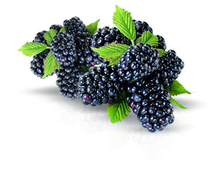 Bunch of Blackberries