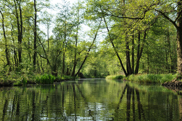 Fließ im Spreewald