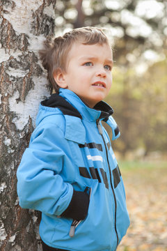 Portrait of dreamy boy about Birch, Fall, fleet