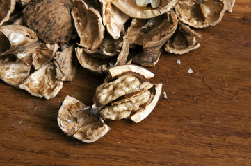 Fresh walnut and nutshells