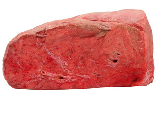 Uncooked cow lung.