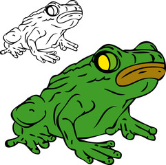 green frog