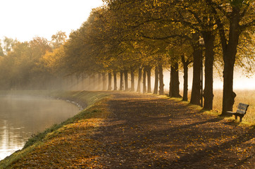 Walkway at the canal a misty morning. - 36385953
