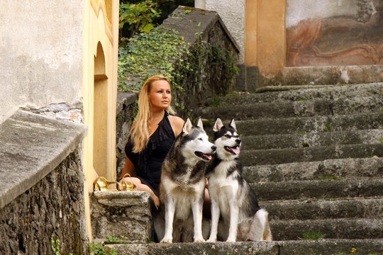 junge Frau und zwei Hunde weit schauend