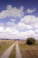 Gravel road between meadows.