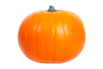 Pumpkin isolated on white