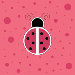 Pink Ladybug