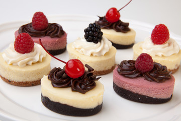 Petite Cheesecakes