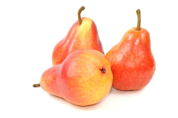 Tree red pears