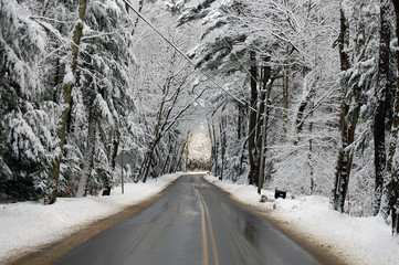 Obraz premium The Snowy Road
